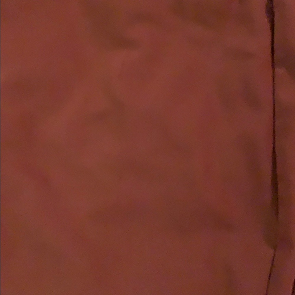 Express Editor Pants - Rust Color - image 3